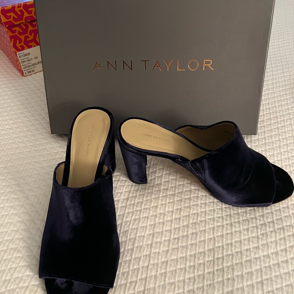 Ann Taylor velvet mule.
